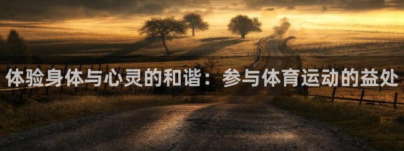 vsport体育官方平台体育:体验身体与心灵的和谐:参与体育