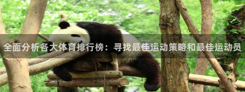 vsport体育官网下载平台注册流程视频:全面分析各大体育排